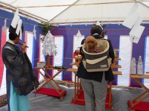 F様とワンちゃんでご挨拶