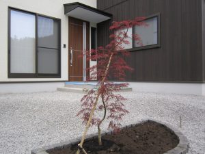 植栽を植えました